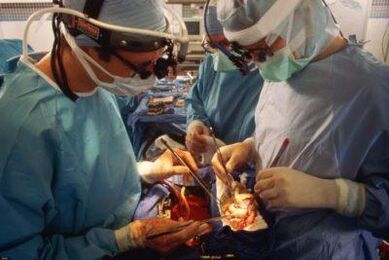 Mikroxirurgik mushak transplantatsiyasi